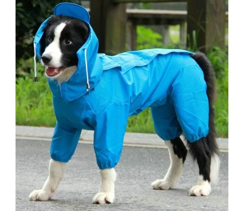 Capa Pet Chuva Capuz Cães Vermelha Ou Azul Raças Grande