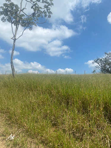 R16- No Bairro Parateí,lotes A Venda