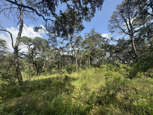 Vendo Terreno Boscoso De 11 Hectáreas En Jilótepec