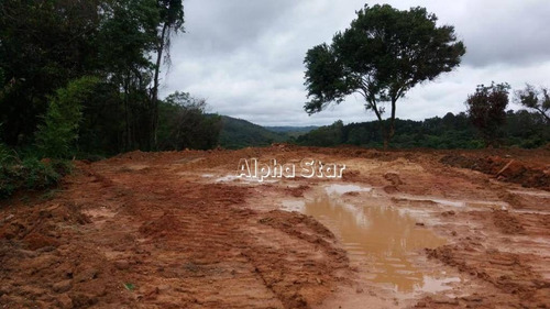 Imagem 9 de 22 de Área À Venda, 44724 M² Por R$ 3.800.000 - Parque Varanguera - São Roque/sp - Ar0047