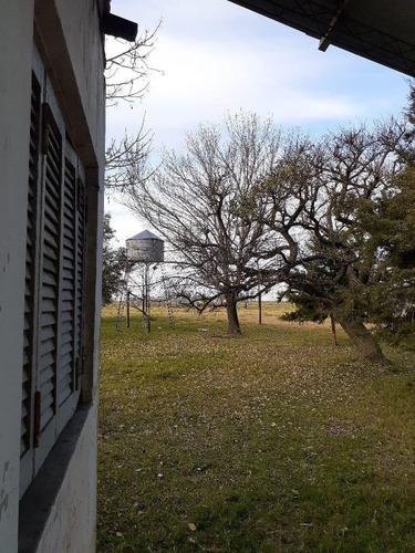 Imagen 9 de 12 de Granja Avícola Ganadera En Venta