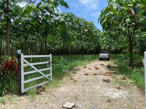Terreno En Archidona, Napo: 1 Hectárea Cerca De La Ciudad