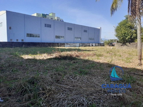 Imagem 10 de 21 de Area - Ar00004 - 1467501
