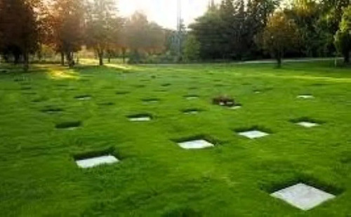 Parque Cordillera Puente Alto - Sepultura Sin Uso