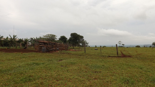 Imagem 15 de 30 de Sítio 5 Alqueires Sendo 3,5 De Pasto, Beira Da Pista, Lago,rio, Casa Sede, Casa Caseiro, Barracão, Pomar, Poço Artesiano, Caixa De Agua, Churrasqueira - St00095 - 69872057