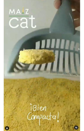 Imagen 8 de 10 de Maíz Cat 20kg - Arena Ecológica Para Gatos - Inhibe Olores