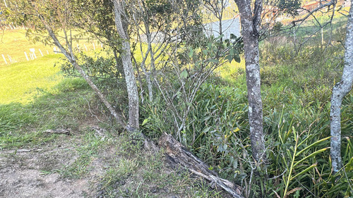 Chácara Com 1.200 M2 No Sul De Mg