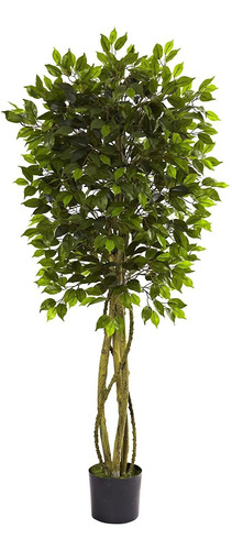 Casi Natural 5.5 ft. Resistente A Los Uv Ficus Árbol
