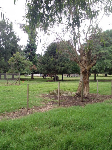 Alquiler De Campo De 4 Hectareas En El Boqueron, Apto Para Cria De Animales