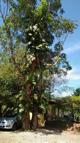 Imagem 2 de 6 de Terreno Chácara Em Socorro - Ch711259v