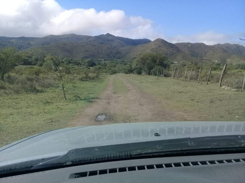Imagen 6 de 11 de Vendo Campo 2ha Con Casa 100m2 - Los Reartes - Cordoba