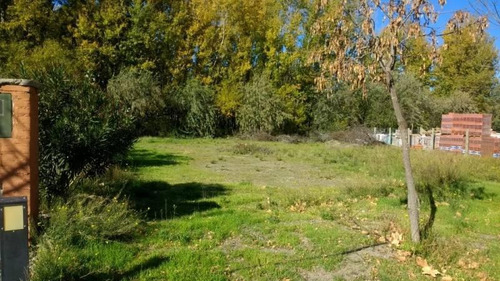 Imagen 2 de 3 de Terreno En Venta, Barrio Ribereño Puerto Escondido.
