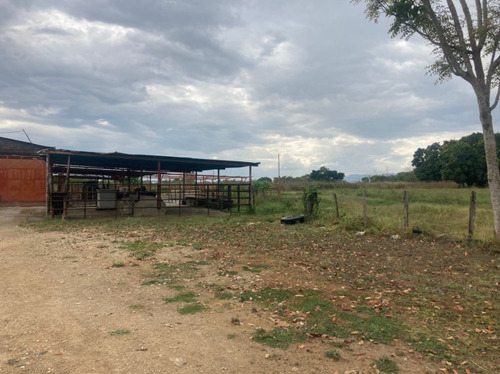 Finca En El Asentamiento Campesino Las Mariposa Plf-003