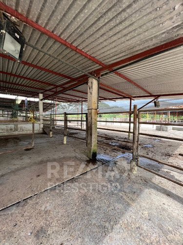 Imagen 21 de 30 de En Venta Hermosa Finca