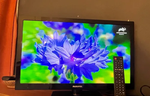 comprar Televisor Panavox Led 24 Impecable Poco Uso