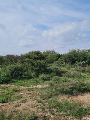 Terreno Hacienda Grande Tequisquiapan Sup. 2,000 Mts