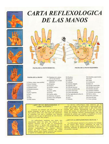 Póster De Reflexologia De Manos 80x52cm