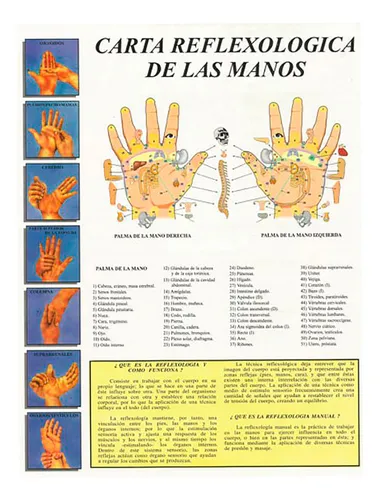 Reflexología mano izquierda sale