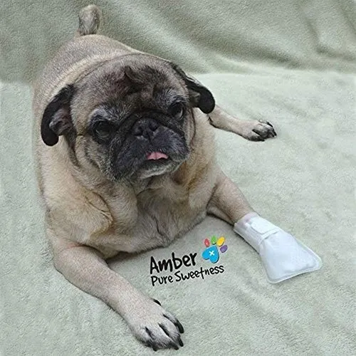 Pawflex protective sleeve cheap