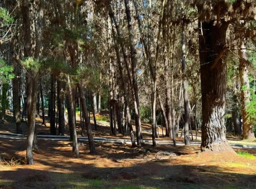 Sin Comisión Alto Las Cruces, Litoral De Los Poetas