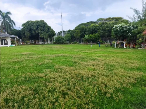 Lote En Venta 2 Hectáreas Urbanizable Vía Principal Pradera-palmira