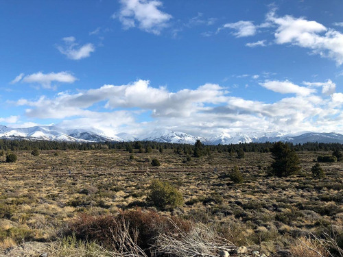 Imagen 7 de 10 de Terreno En Venta Zona Este Bariloche - Coirones