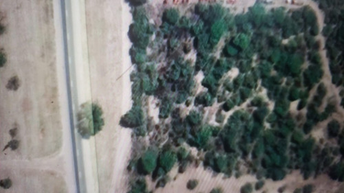Imagen 3 de 4 de Parcela Sobre Ruta 146 En La Punta, San Luis, Escritura Inmediata, Dueño Directo, Apto Procrear, Posibilidad De Financiacion O Vehiculo Que Me Interese En Parte De Pago