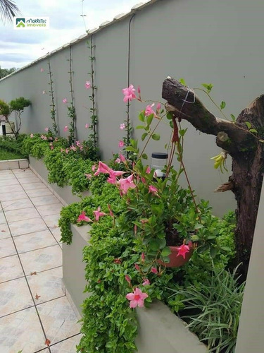 Imagem 8 de 17 de Sobrado Alto Padrão À Venda Em Morretes/pr - 233