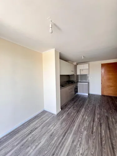 Dpto. En Arriendo 1 Dorm. Lago Pirihueico