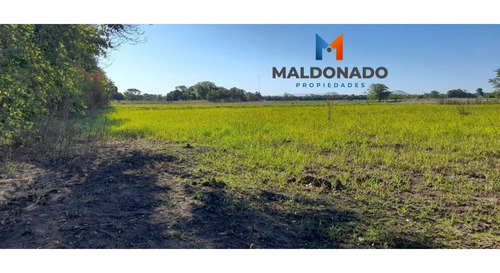 Imagen 9 de 9 de Venta Campo Quinta
