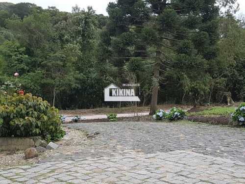 Imagem 8 de 19 de Área Para Venda - 02950.6062