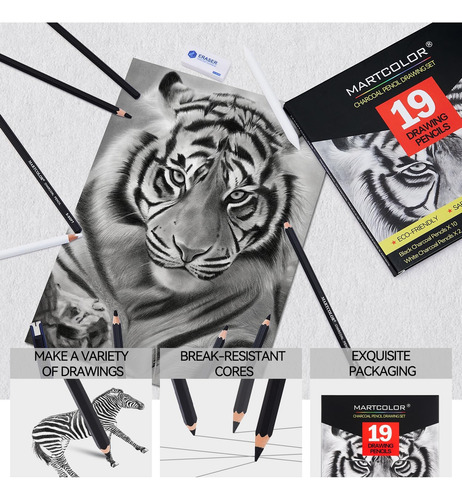 Set De Dibujo Carbón, 19 Piezas, Lápices De Carbón N...