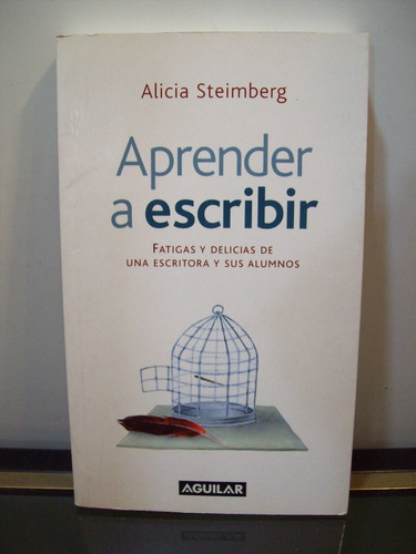 Adp Aprender A Escribir Alicia Steimberg / Ed Aguilar 2006