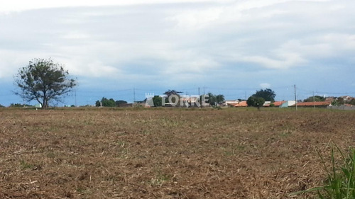 Imagem 1 de 6 de Área À Venda Em João Aranha - Ar002950