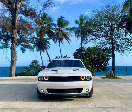 Dodge Challenger 2019 Sxt