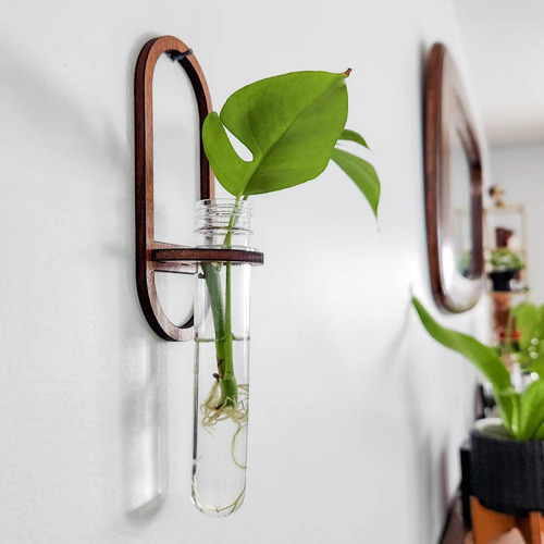 Jarrón De Pared Para Cultivo, Tubo De Ensayo, 2 Unidades, Pa