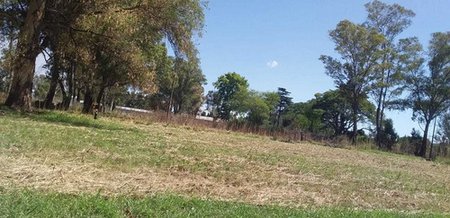 Imagen 3 de 8 de Venta Terreno Ruta Provincial 6 18441m2 Zarate