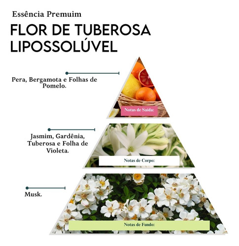 Essência Premium De Flor De Tuberosa Lipossolúvel - 100 Ml