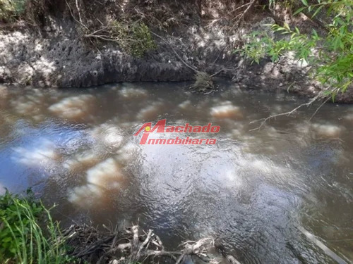 Imagen 3 de 15 de Venta De Chacra De 5 Hectareas En Paraje Las Cañas