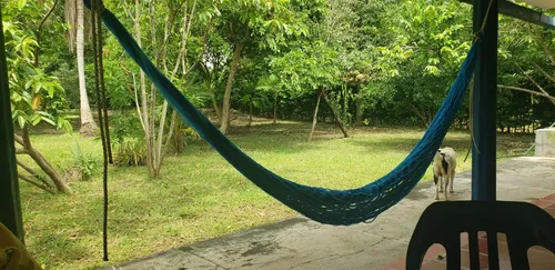 Finca En Venta A 15 Minutos Del Centro De Cerete