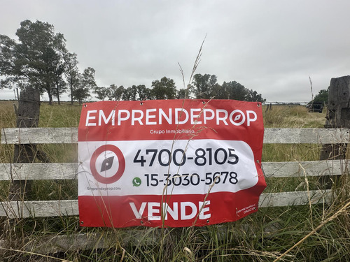 Campo De 6 Hectáreas A Metros De Ruta 6, San Vicente.