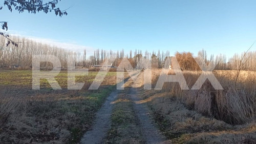 Venta De Chacra 6 Hectareas - Vista Alegre