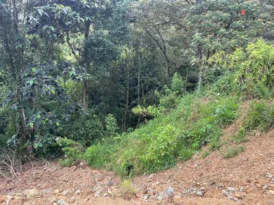 Lote y casalote en venta