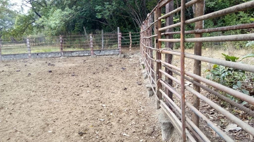 Imagen 14 de 15 de Finca En El Paguey, Barinas En Venta