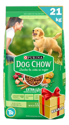 Dog Chow Perros Cachorros 24kg + Comedero Doble  Y Envío 