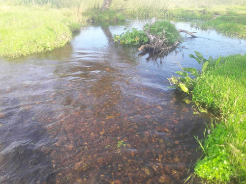 Imagen 2 de 19 de 1086- Venta Campo 136 Hectareas En Estacion Solis Minas Lavalleja