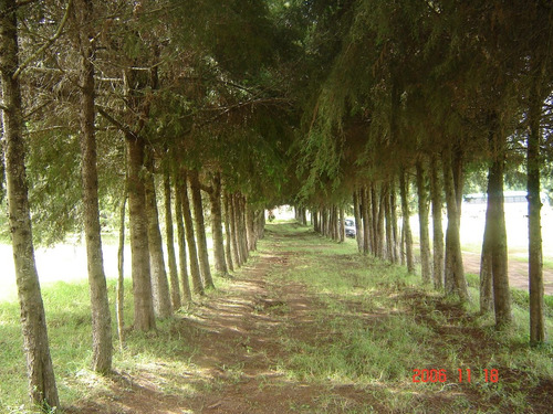 Venta De Lotes Campestres Sin Enganche Todas Las Medidas