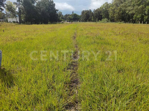 En Venta, Lotes Terrenos, En Comitan De Dominguez