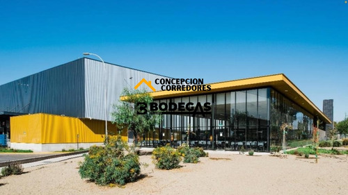 Arriendo Bodega De 11.872 M2 En Mc Aeroparque, Pudahuel.