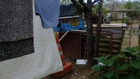 Imagem 6 de 21 de Casa No Jardim Santos Dumont Ii - Ven124